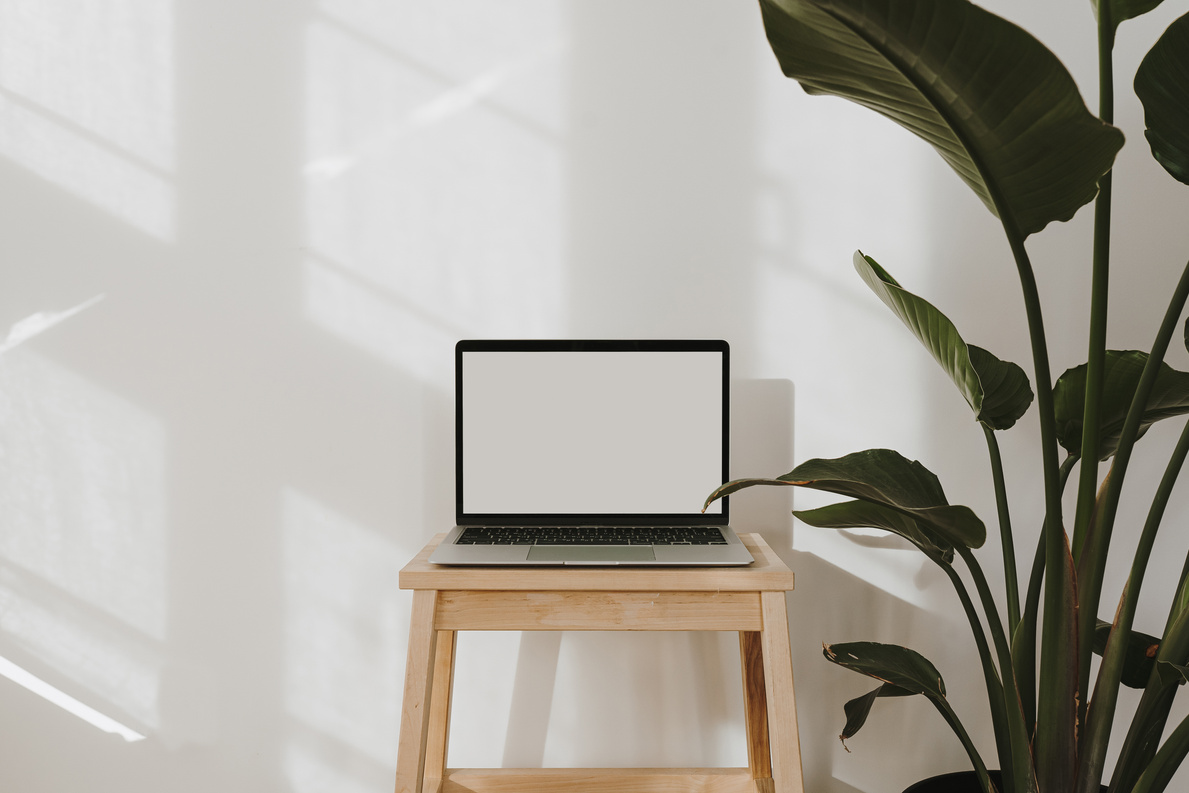 Laptop on Wooden Table with Plants